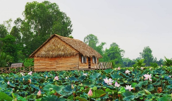 6-activites-a-ne-pas-rater-dans-le-delta-du-mekong-visite-des-champs-de-lotus-a-dong-thap