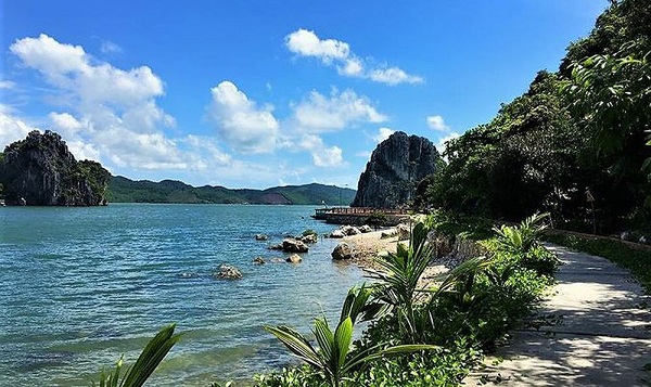 baie-bai-tu-long-ile-banh-sua