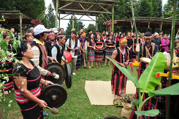 Circuit du Sud Vietnam 13 jours 7 Programme en bref