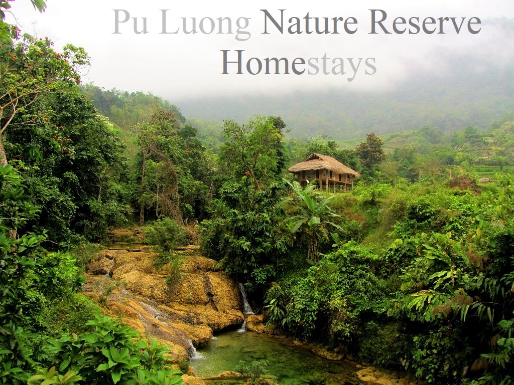 chezlhabitant-puluong