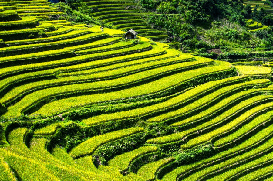 Choisir le meilleur itinéraire pour le Vietnam en août conseils utiles