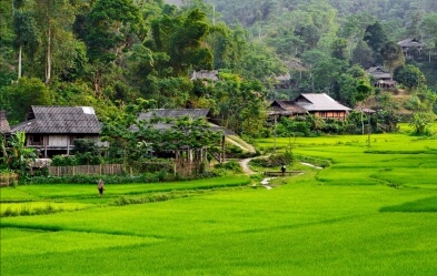 Découverte approfondie du Vietnam en 5 semaines 5 Programme en bref