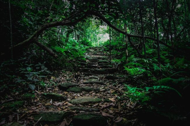 destinations-ideales-pour-les-amoureux-de-la-nature-au-vietnam4