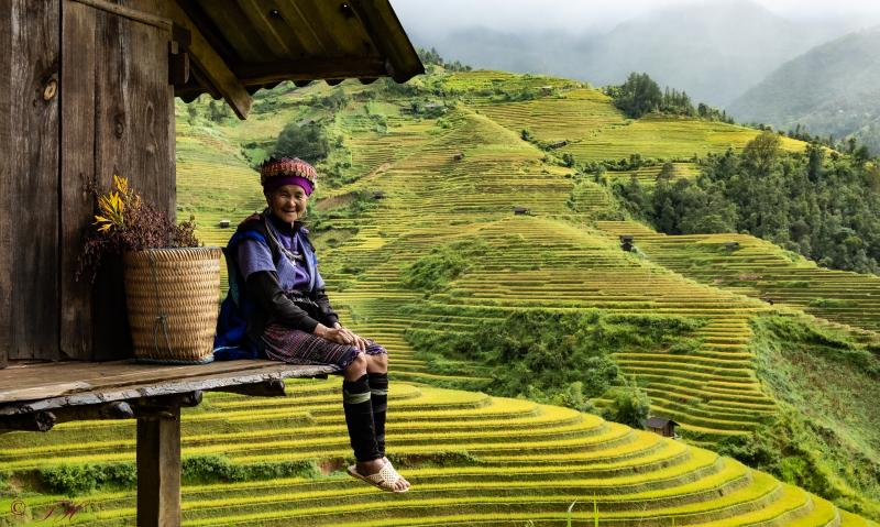 Le Nord Vietnam de Mai à Septembre