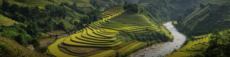 les-attractions-populaires-au-vietnam-pour-les-canadiens-10