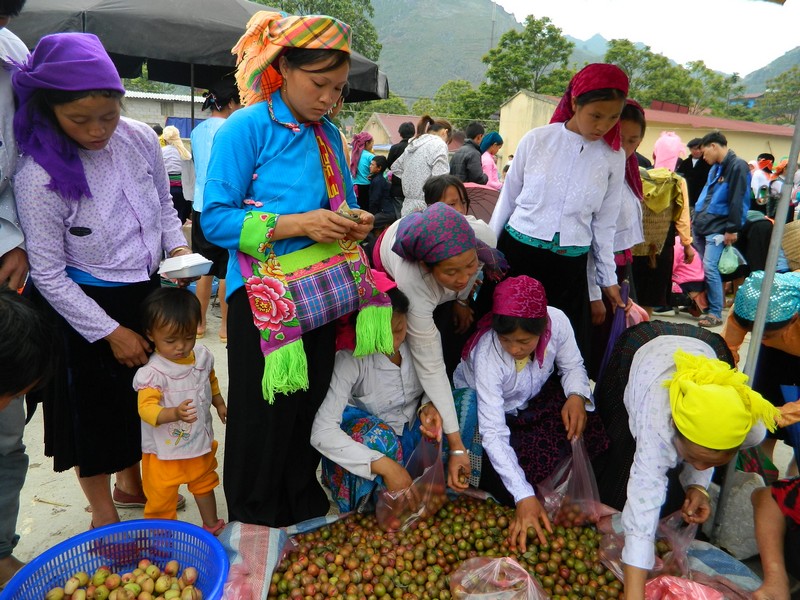 les-attractions-populaires-au-vietnam-pour-les-canadiens-7