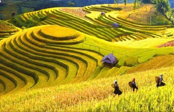 Le Vietnam rouvrira son tourisme à partir du 15 mars