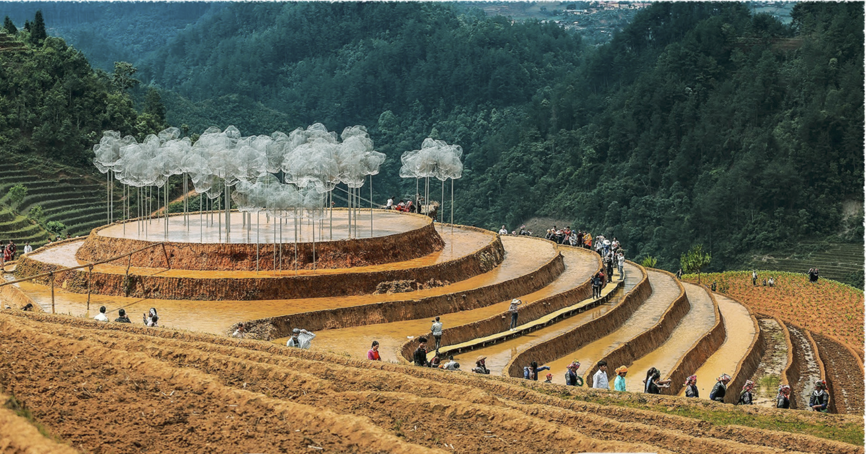 Où aller en mai au Vietnam pour les rizières en terrasses ? Découvrez les plus belles destinations