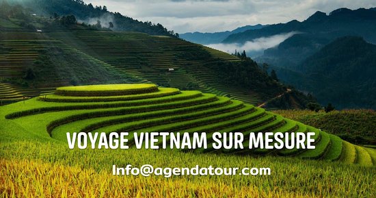 Où aller en mai au Vietnam pour les rizières en terrasses 