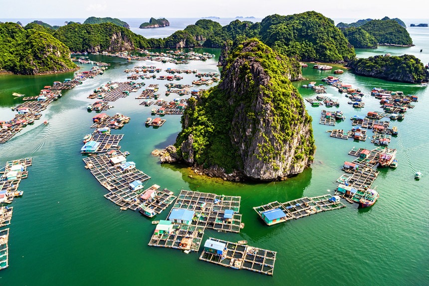 Où visiter au Vietnam en Novembre?