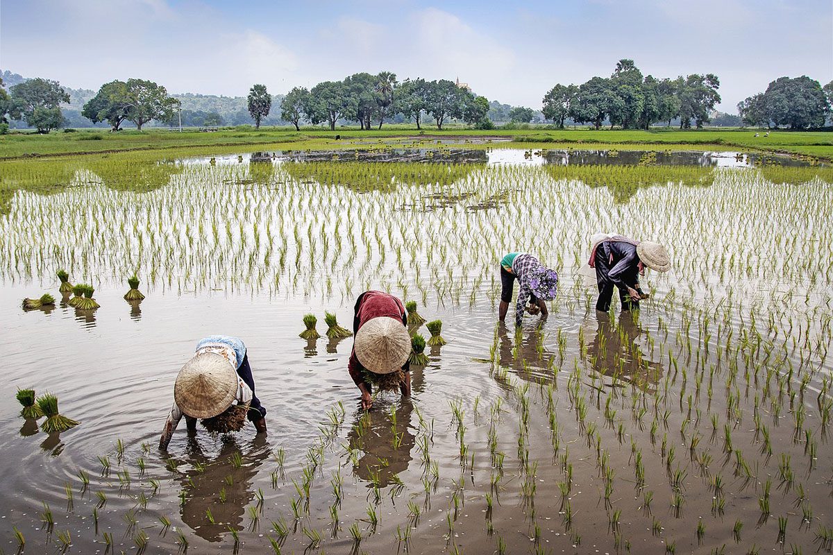 Quel est le meilleur mois pour visiter le Nord du Vietnam ?