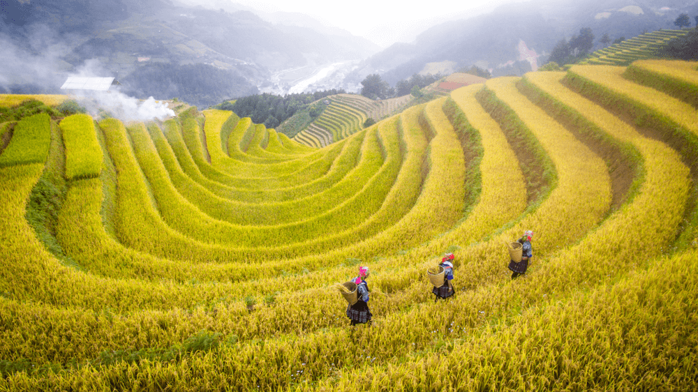Quel est le meilleur mois pour visiter le Nord du Vietnam ?