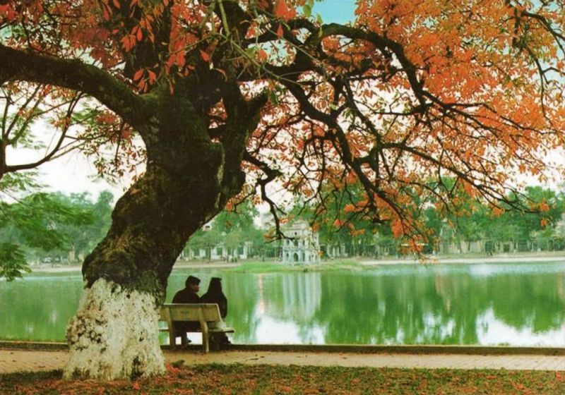 Quel est le meilleur mois pour visiter le Nord du Vietnam ?