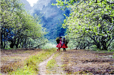 Top 10 destinations de Voyage au Nord Vietnam - Découvrez les trésors cachés et la culture authentique