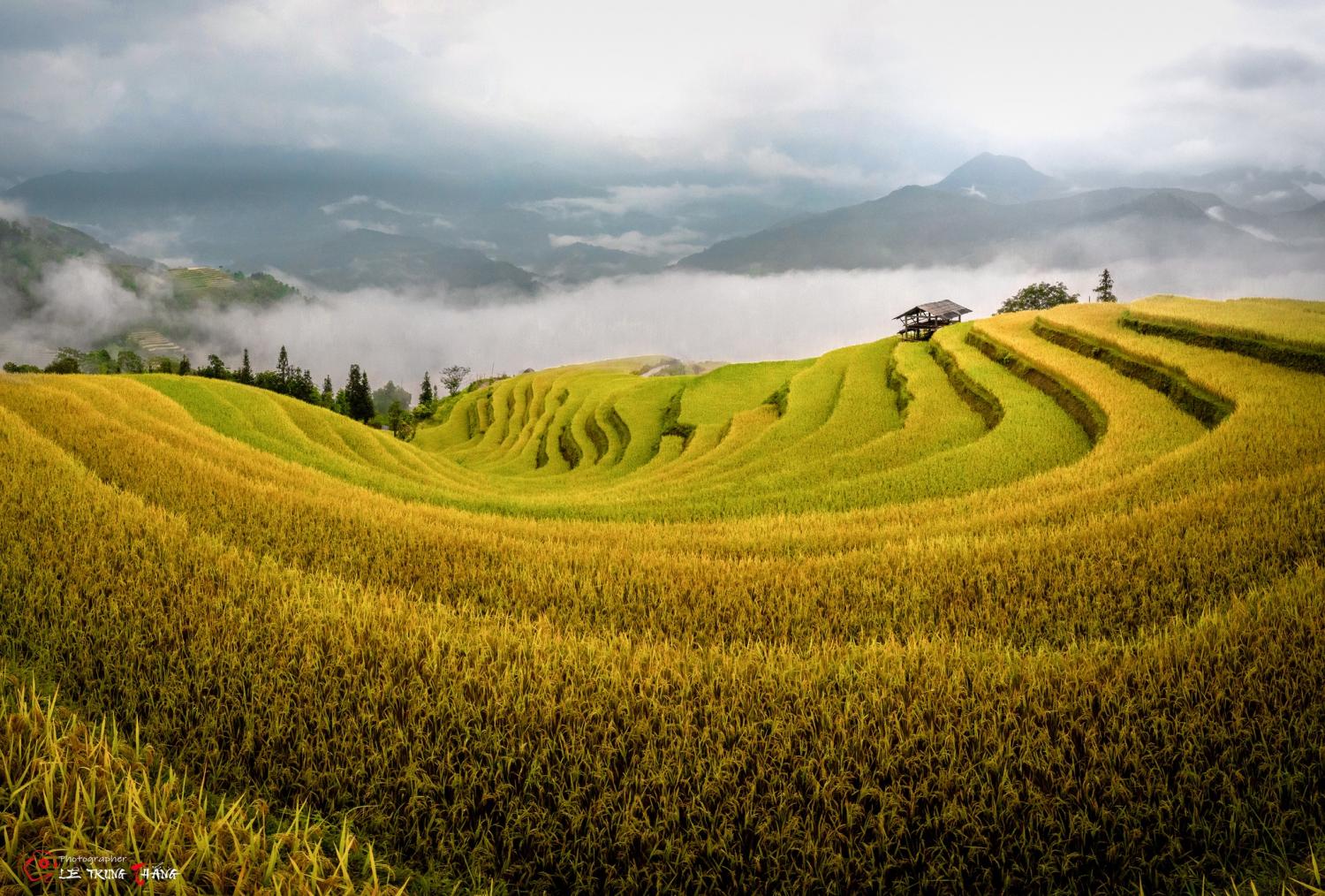 Top 10 destinations de Voyage au Nord Vietnam - Découvrez les trésors cachés et la culture authentique
