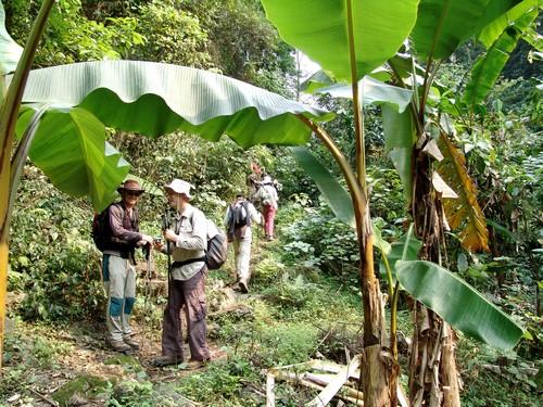 Trekking au Vietnam - Découvrez les merveilles naturelles et culturelles du pays