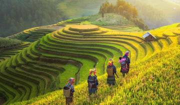 Trekking au Vietnam - Découvrez les merveilles naturelles et culturelles du pays