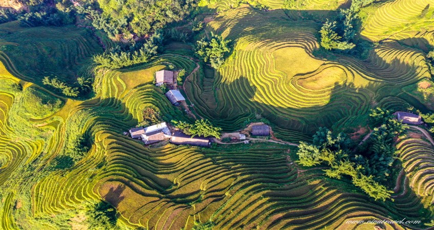 Découvrez le Trekking au Vietnam - Une Aventure Inoubliable dans la Nature