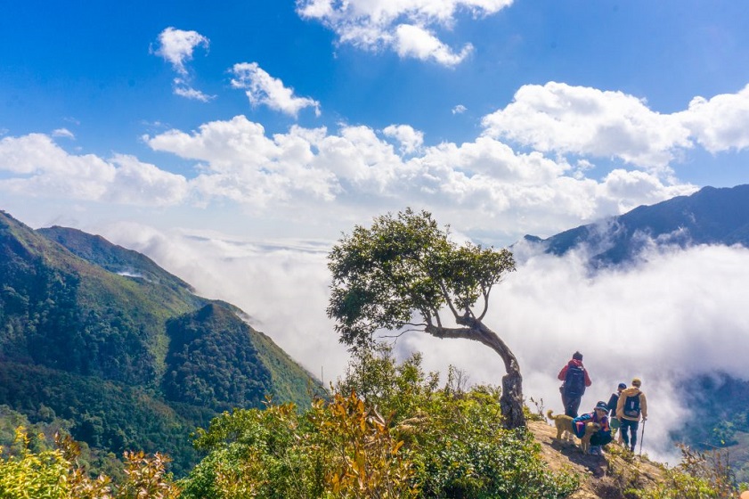 Découvrez le Trekking au Vietnam - Une Aventure Inoubliable dans la Nature