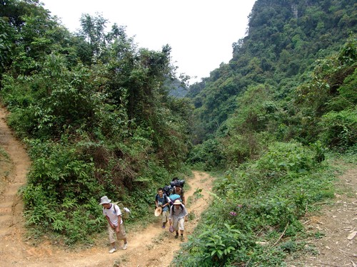 Découvrez le Trekking au Vietnam - Une Aventure Inoubliable dans la Nature