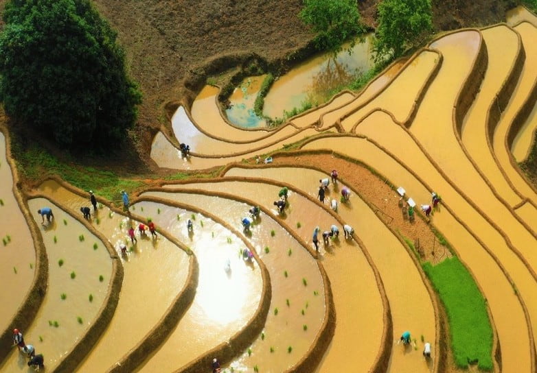 Vaut-il la peine d’aller au Vietnam en mai ? Découvrez ce que ce mois a à offrir !