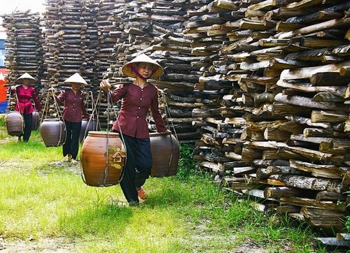 village-phu-lang-2