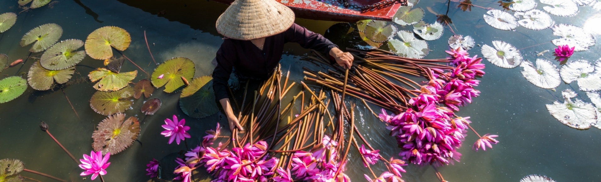 Voyage au Nord Vietnam - Aventures Inoubliables au Cœur des Ethnies et des Paysages