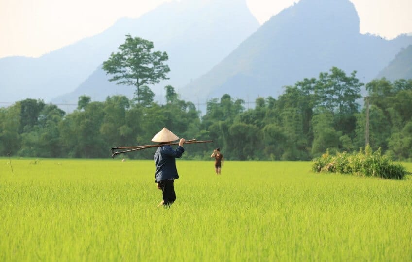 Voyage au Vietnam - Une Aventure Inoubliable à Découvrir