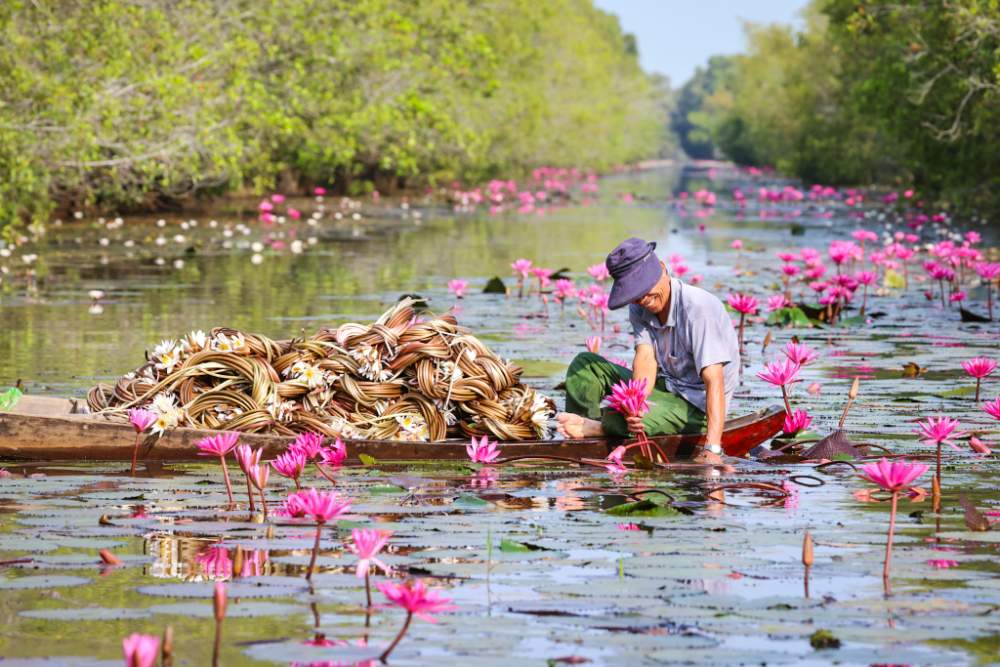 Voyage aventure au Vietnam 