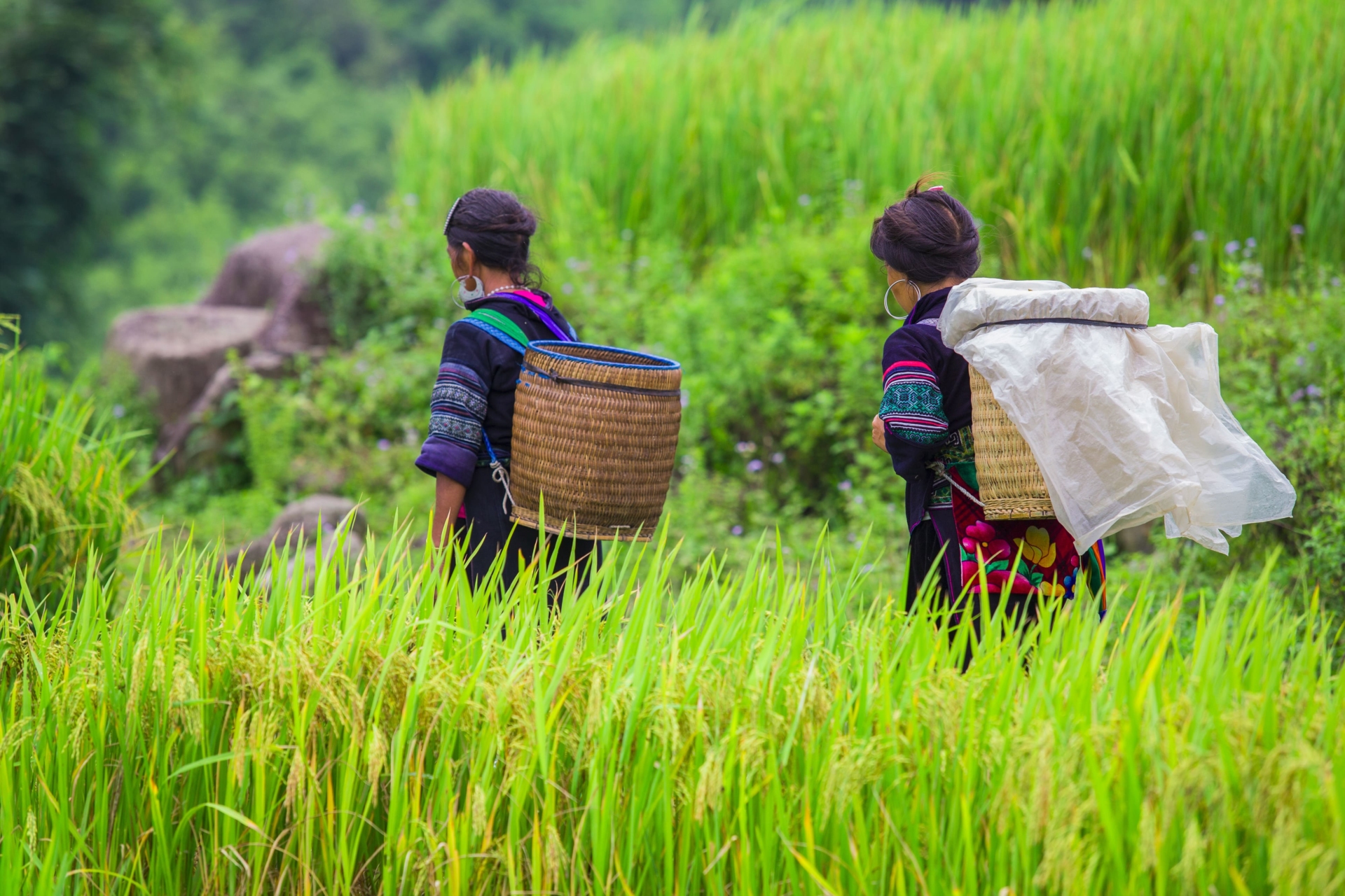 Voyage aventure au Vietnam 