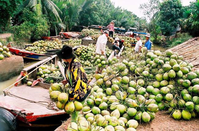 Voyage Découverte Vietnam : Explorez les merveilles et la culture fascinante du pays