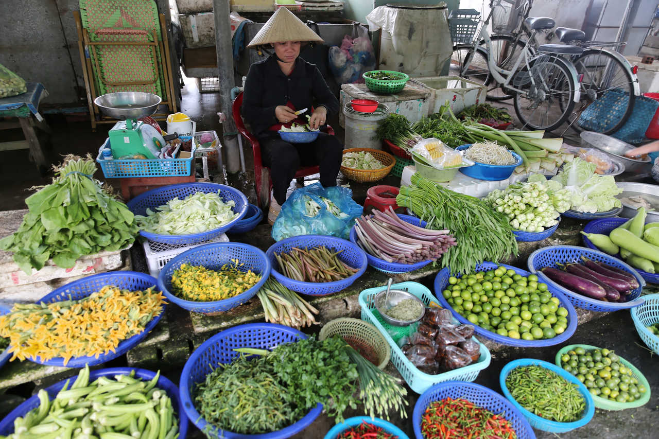 Voyage Découverte Vietnam : Explorez les merveilles et la culture fascinante du pays