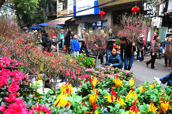 Voyage Vietnam culturel et historique