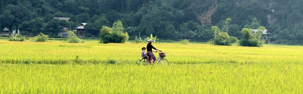 Voyage Vietnam hors des sentiers battus