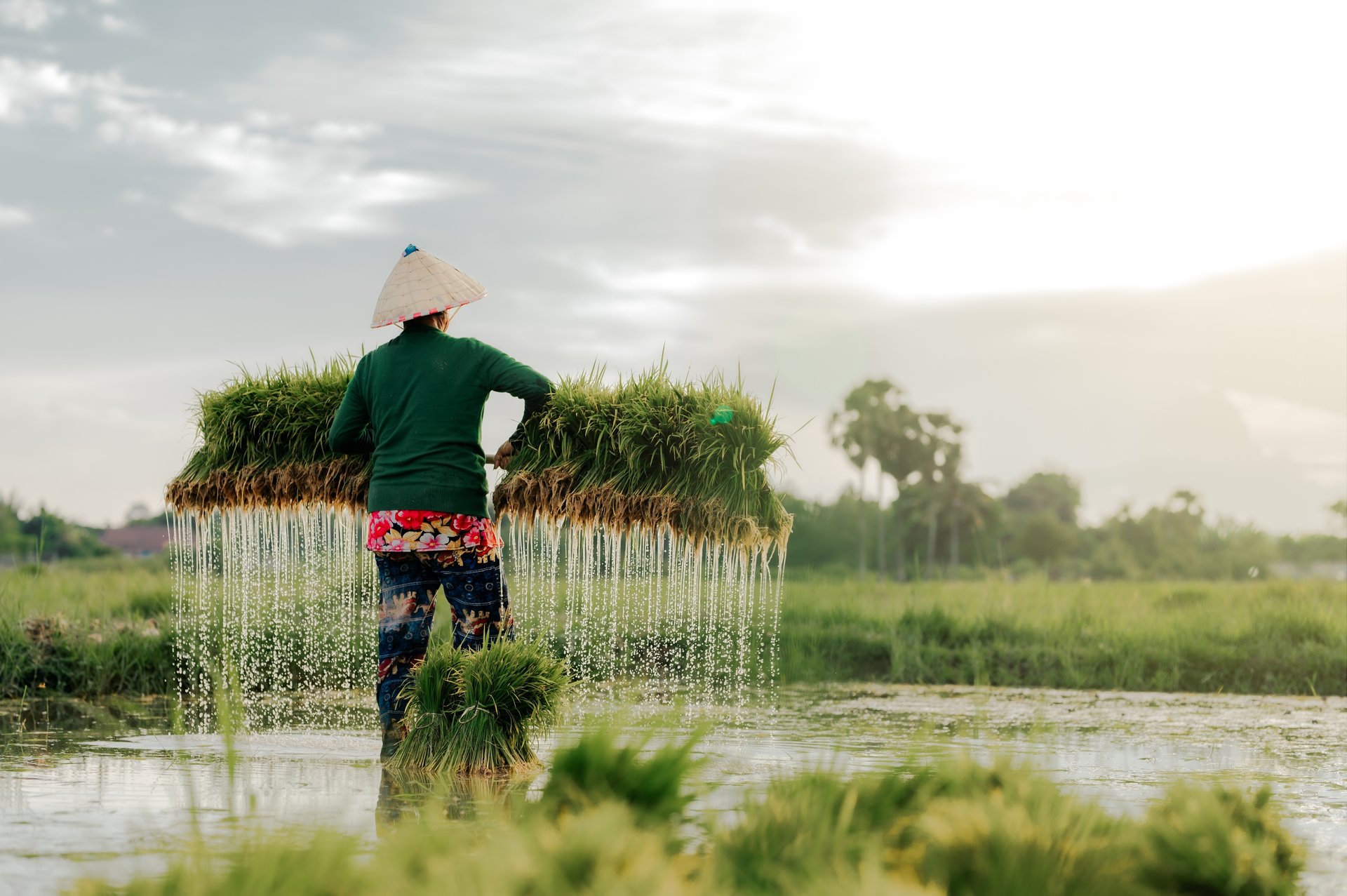 Découvrez le Charme Enchanteur du Laos:  Un Voyage Inoubliable