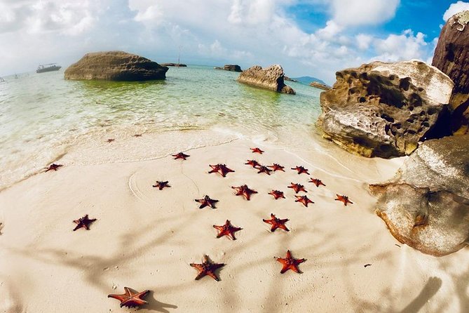 Voyages au Sud Vietnam - Une Évasion Unique entre Culture et Nature