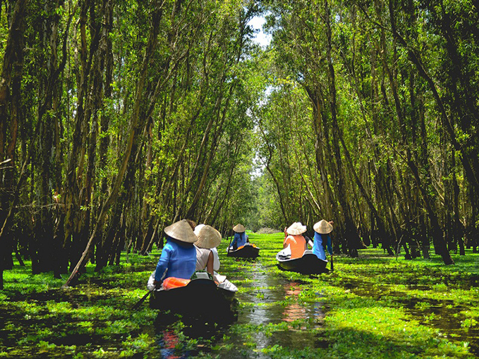 Voyages au Sud Vietnam - Une Évasion Unique entre Culture et Nature