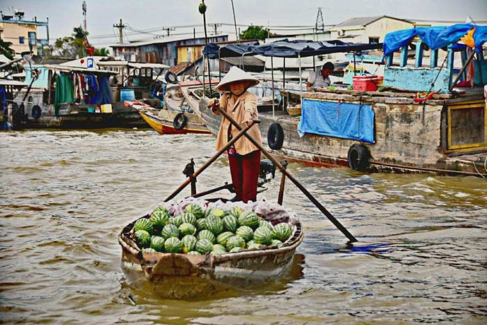 Voyages au Sud Vietnam - Une Évasion Unique entre Culture et Nature