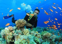 Séjours et vacances au Vietnam en plongée sous marine