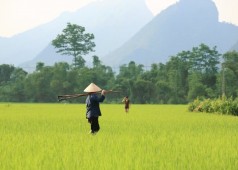 Raisons pour voyager avec Agenda Tour Vietnam