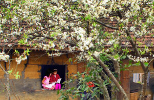 Voyages et logements chez l’habitant au Vietnam