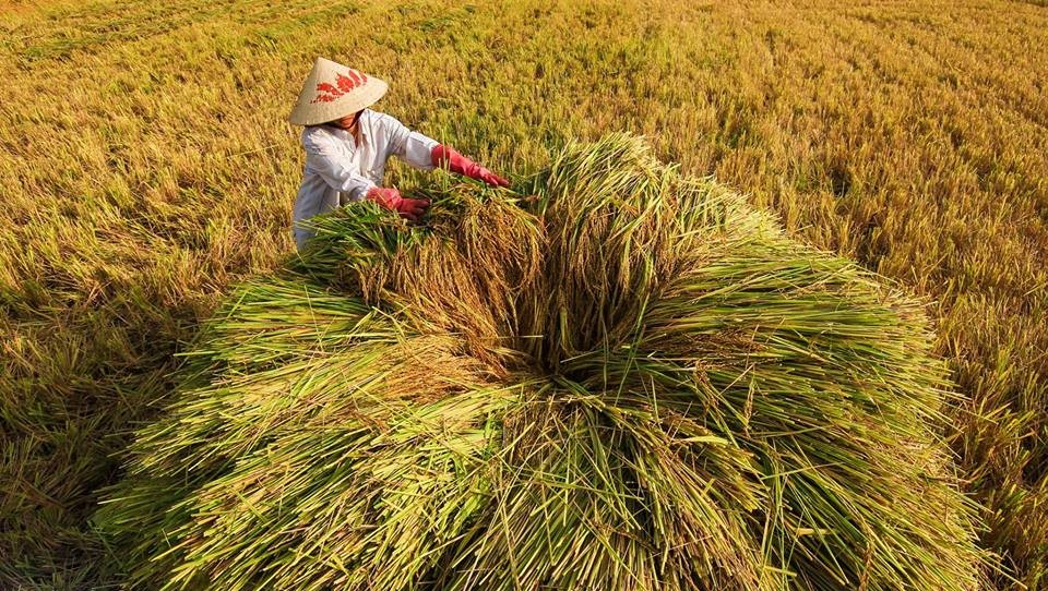 Voyage Photo au Vietnam