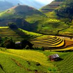 Quand partir dans le nord du Vietnam ?