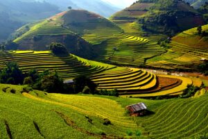 Quand partir dans le nord du Vietnam ?