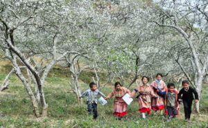 Idées de voyage Vietnam en famille