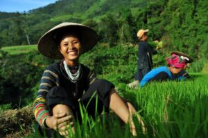 Les Bons Plans de Voyage au Vietnam en 2 mois