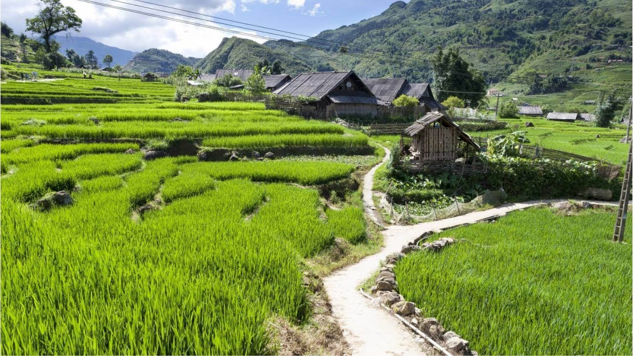 Attention aux pièges Arnaque de voyage au Vietnam - conseils pour voyager en toute sérénité