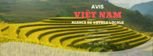 Découvrez l’Asie du Sud-Est avec Agenda Tour: Votre Partenaire de Voyage au Vietnam, Laos et Cambodge