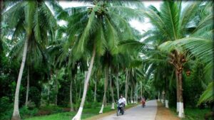 Ben Tre