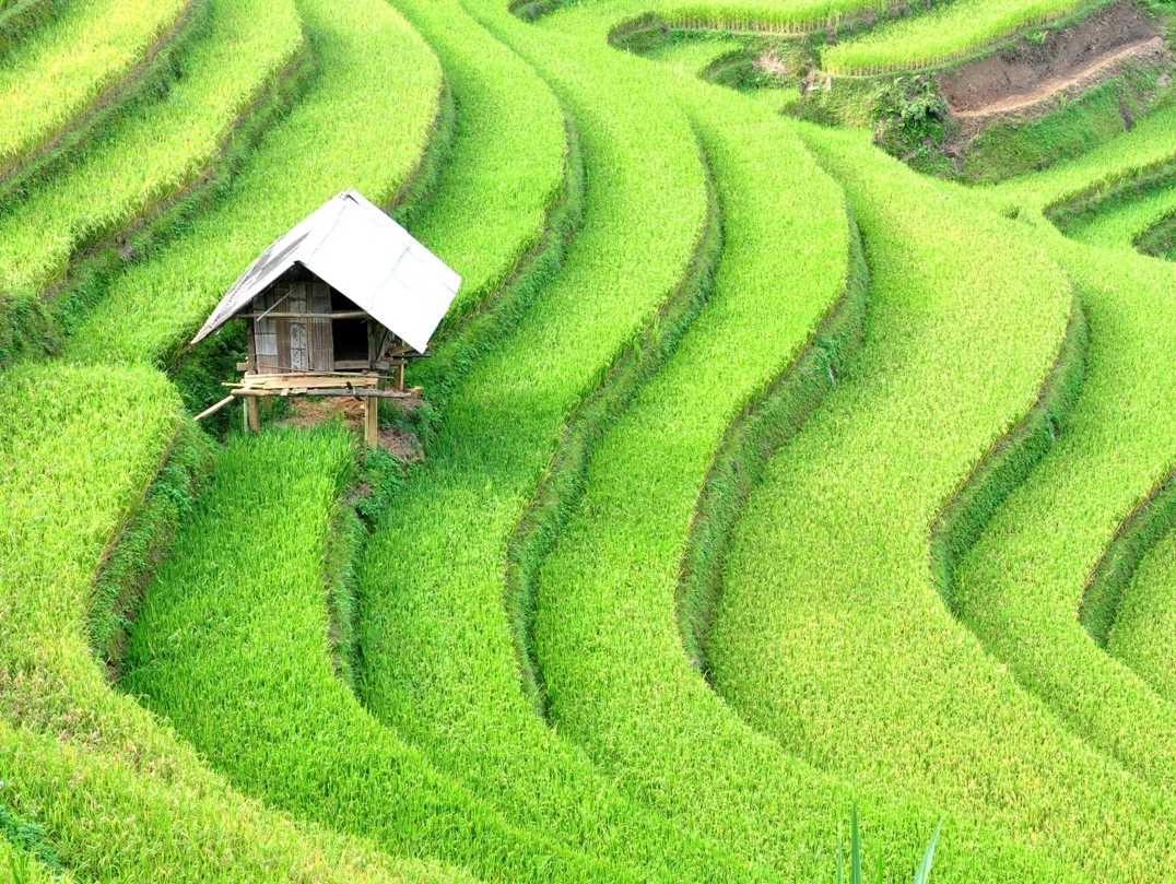 Circuit Nord au Sud Vietnam 23 jours